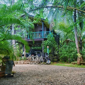 Passion Ray & Tree Hut Проживание в семье