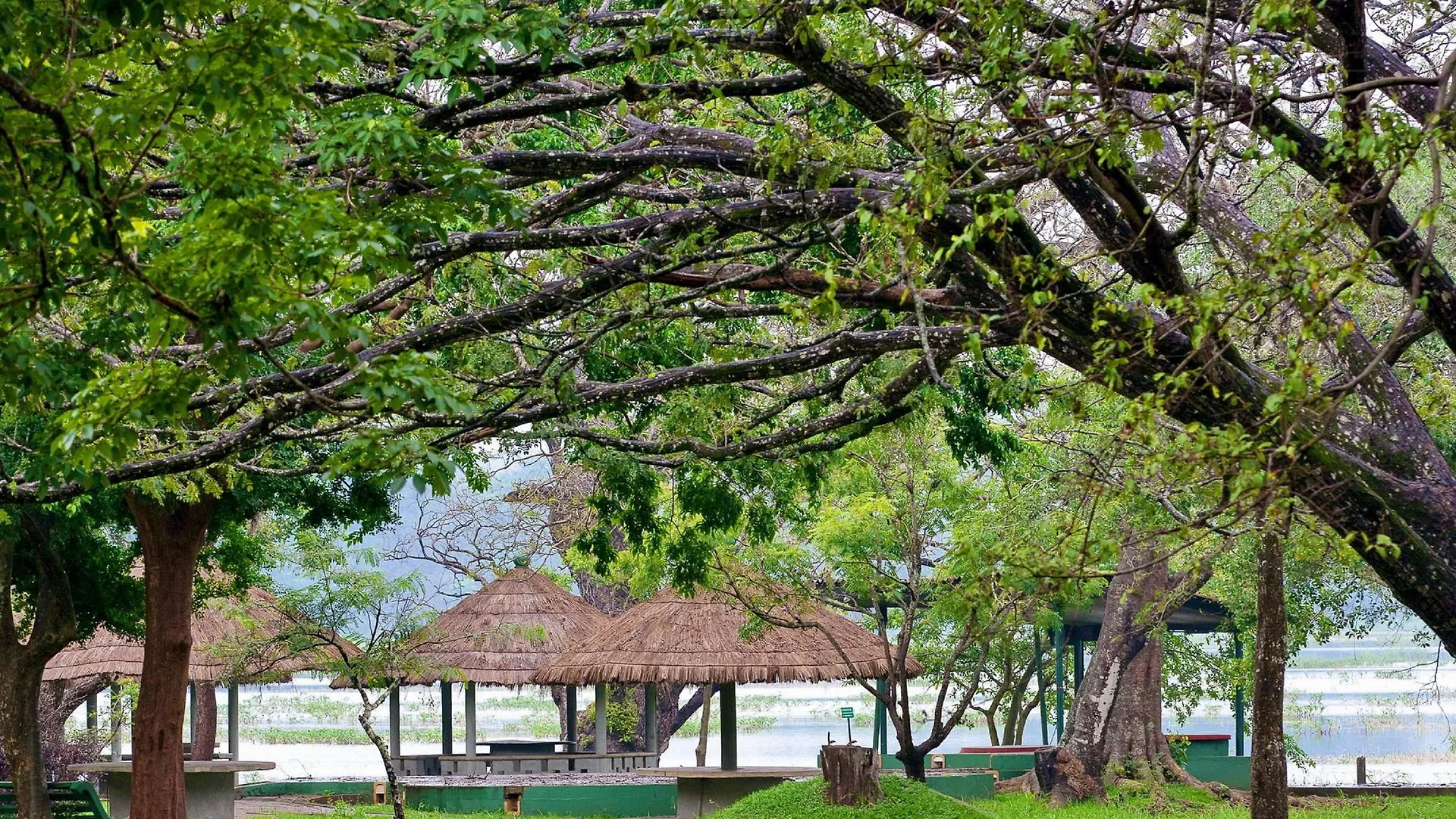 **** Resort Habarana Village By Cinnamon Sri Lanka